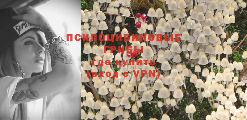 Галлюциногенные грибы Magic Shrooms  сколько стоит  Белореченск 